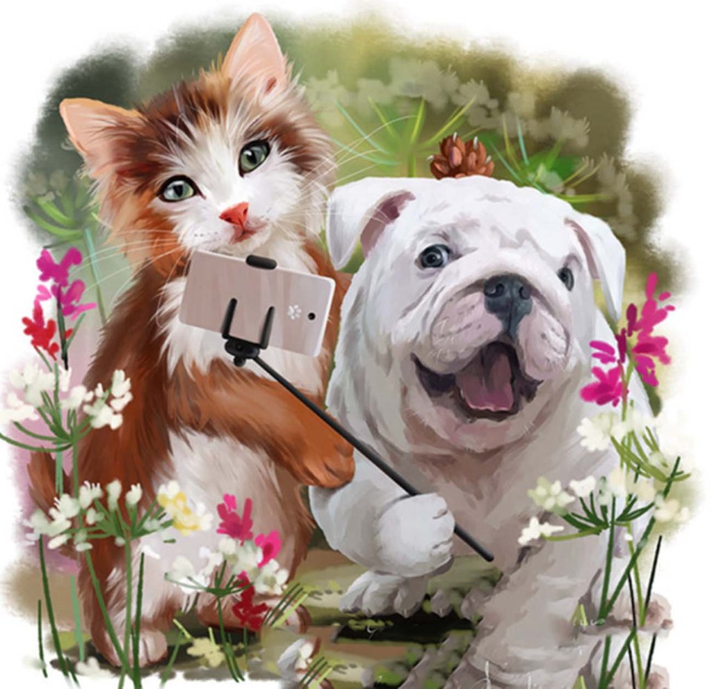 Kat en Hond Maken Selfies Diamond Painting