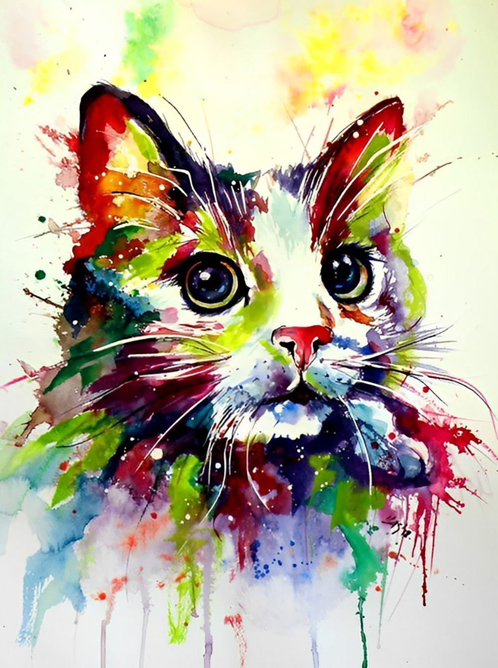 Kat en Kleurrijke Krabbels Diamond Painting