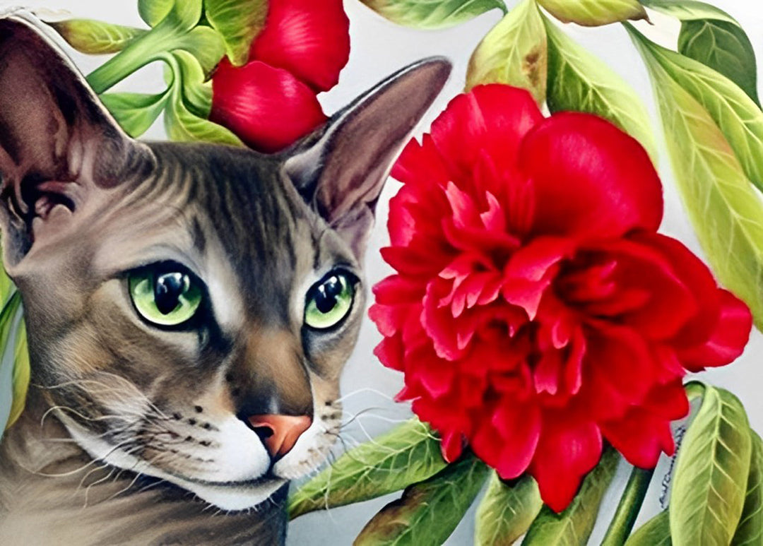 Kat en Rode Bloem Diamond Painting