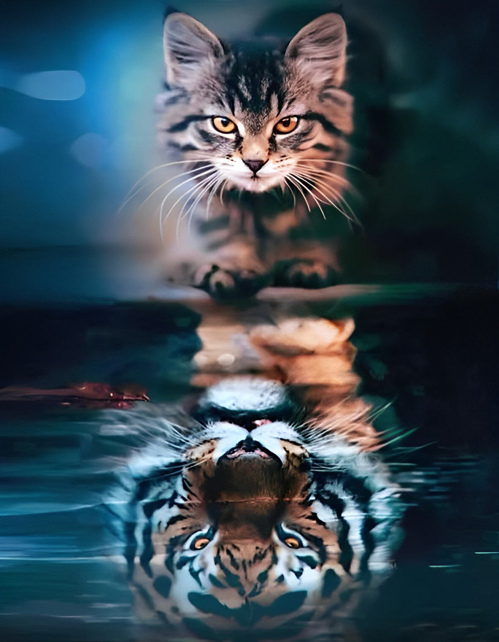 Kat en Tijger in Spiegeling Diamond Painting