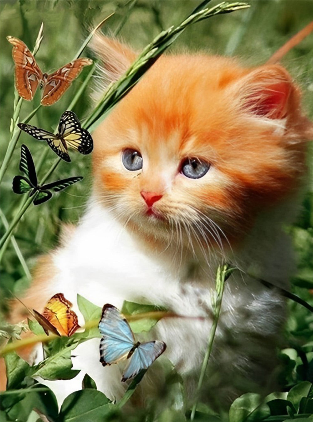 Kat en Vlinders in het Gras Diamond Painting