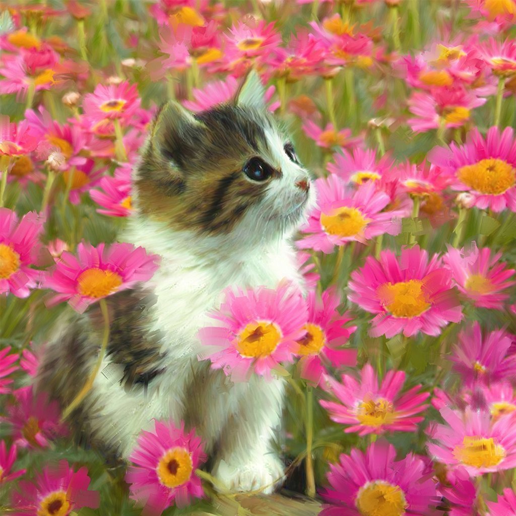 Kat in Roze Madeliefjesweide Diamond Painting
