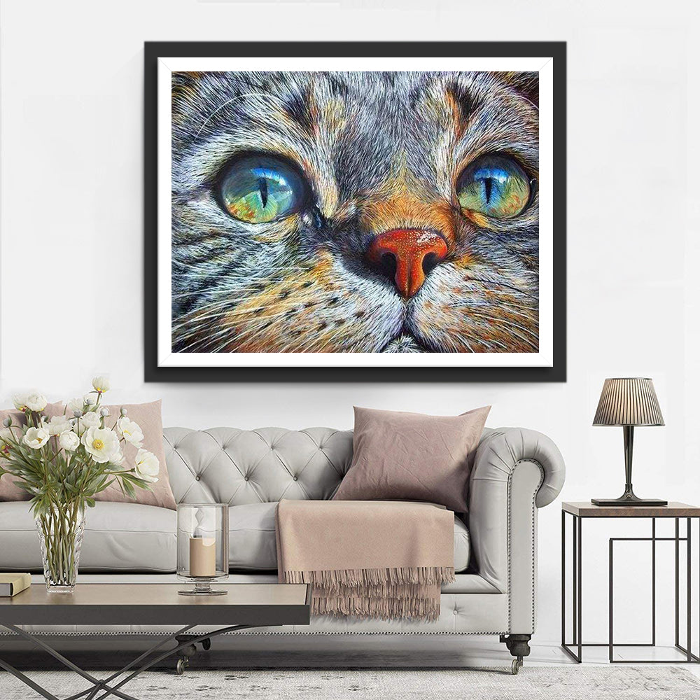 Kat met Blauwgroene Ogen Diamond Painting