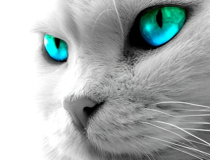 Kat met Blauwgroene Ogen Diamond Painting