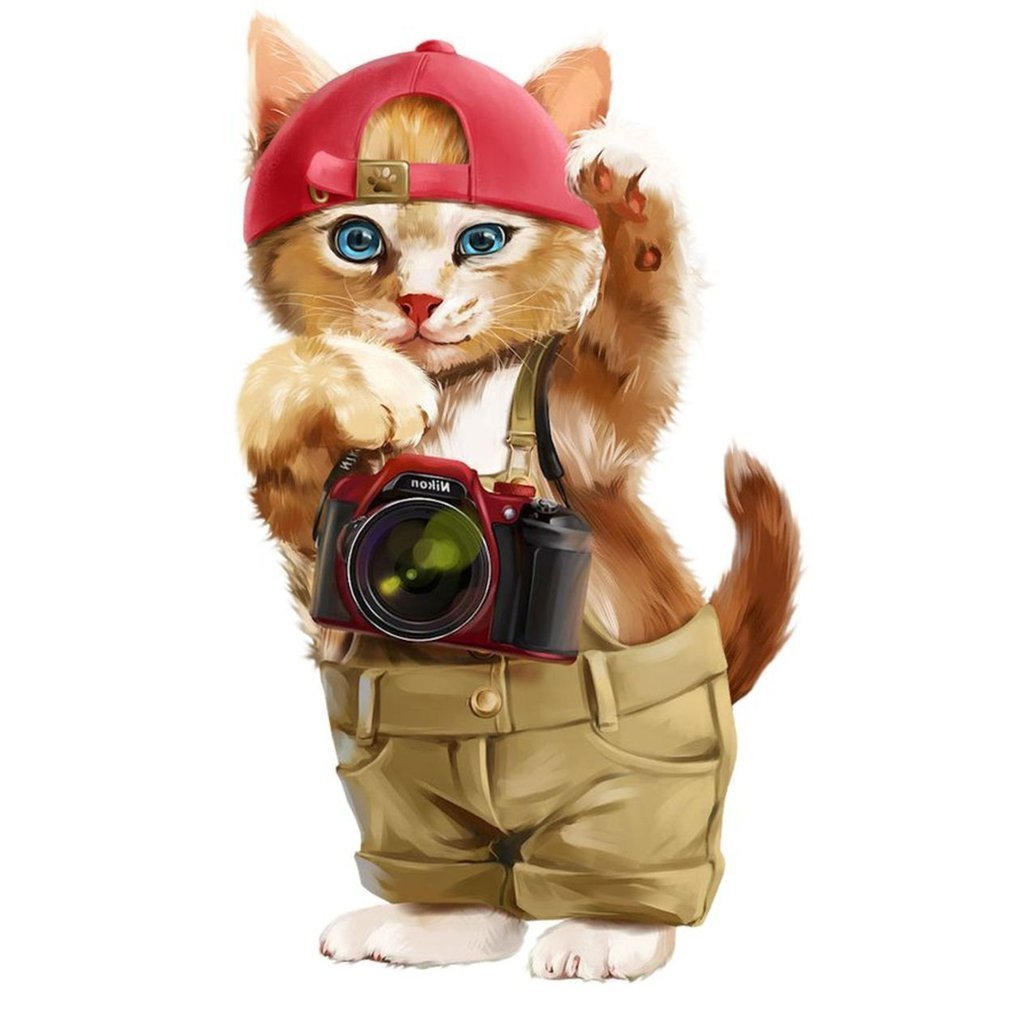 Kat met Camera Diamond Painting