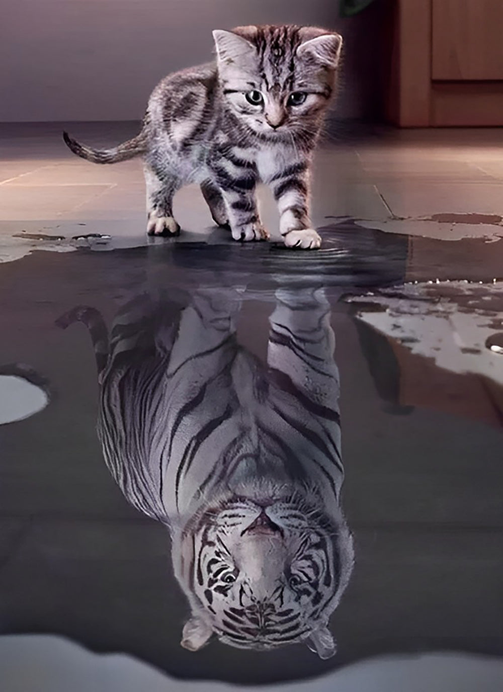 Katje en Een Tijger Diamond Painting