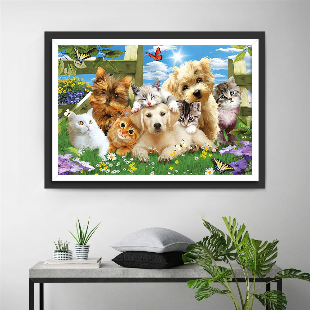 Katten en Honden op de Bloemenweide Diamond Painting