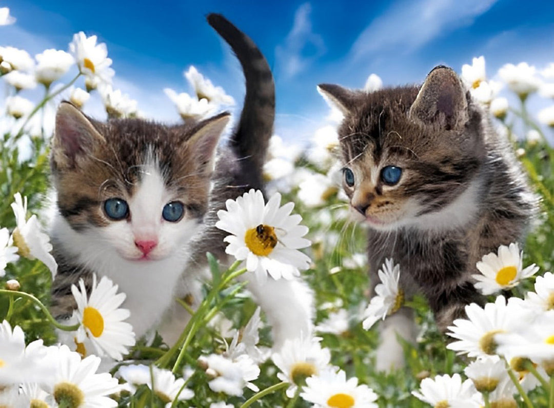 Katten in de Madeliefjesstruik Diamond Painting
