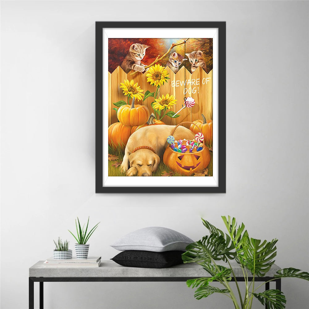 Katten op Schutting, Hond bij Snoeppompoen Diamond Painting