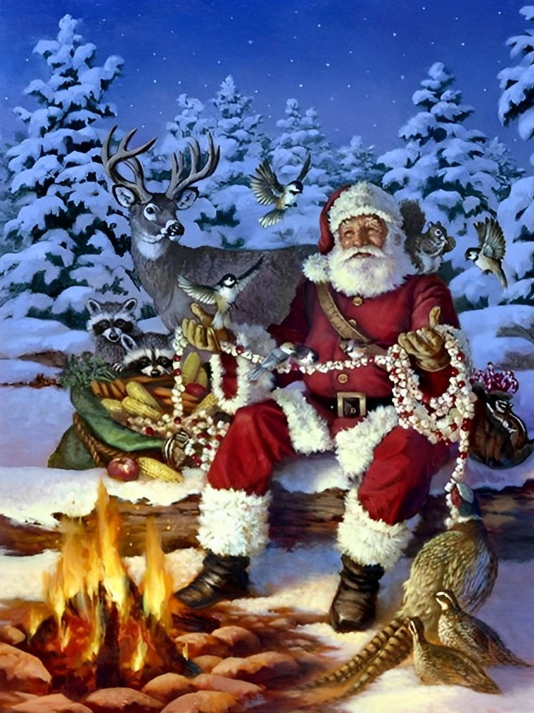 Kerstman bij Kampvuur in Winterwoud Diamond Painting