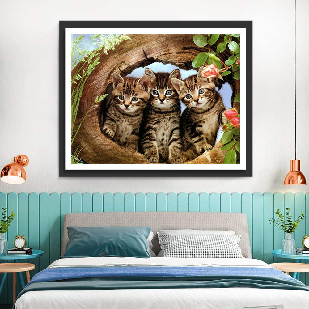 Kiekeboe Kittens uit een Boomhol Diamond Painting