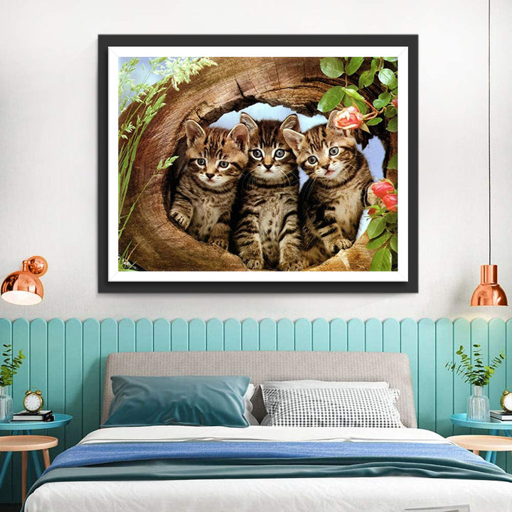 Kiekeboe Kittens uit een Boomhol Diamond Painting