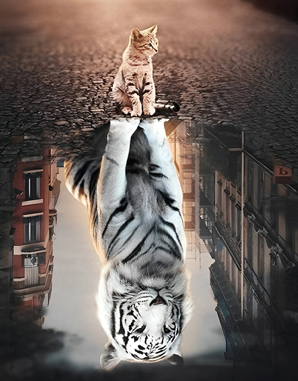 Kitten en de Weerspiegeling van een Zwart-Witte Tijger in het Water Diamond Painting