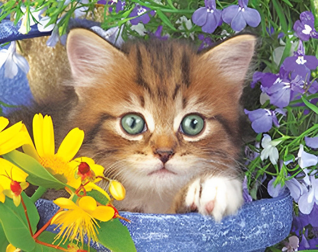 Kitten met Heldere Ogen in Bloemen Diamond Painting