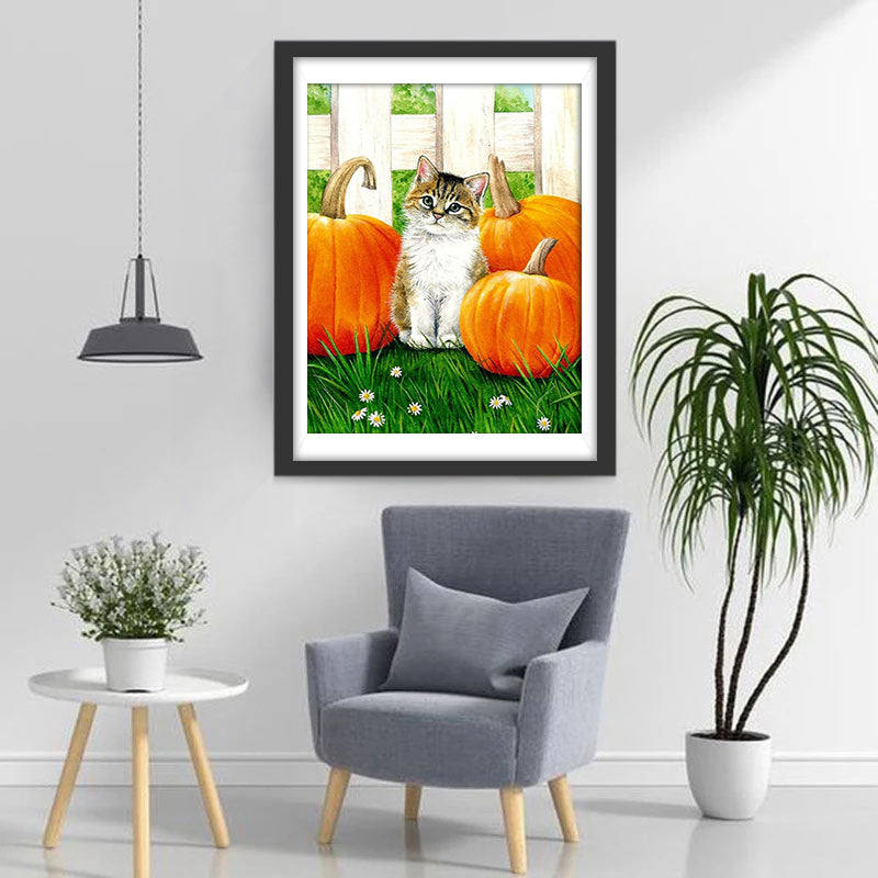 Kittens in Drie Pompoenen Diamond Painting