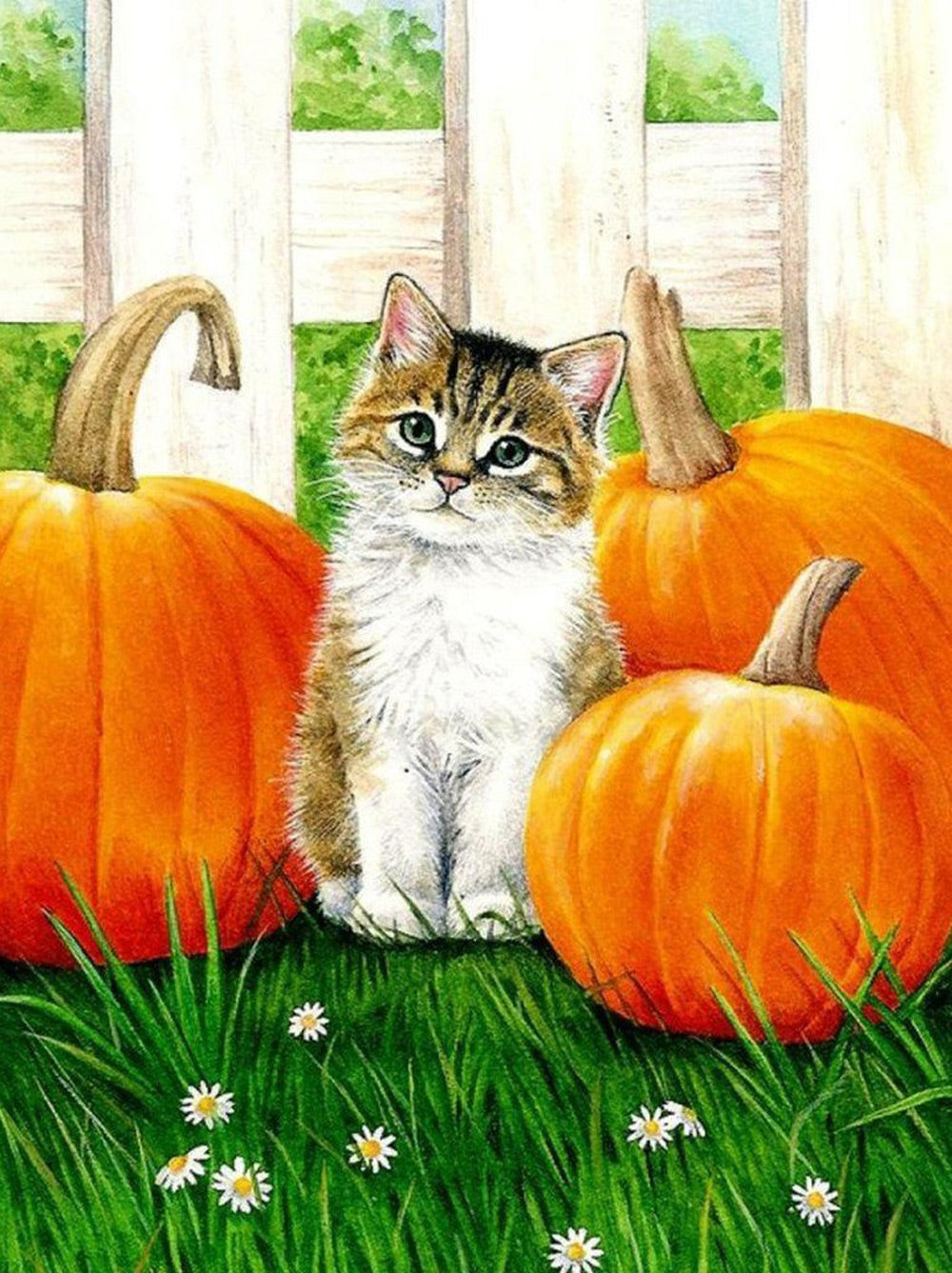 Kittens in Drie Pompoenen Diamond Painting