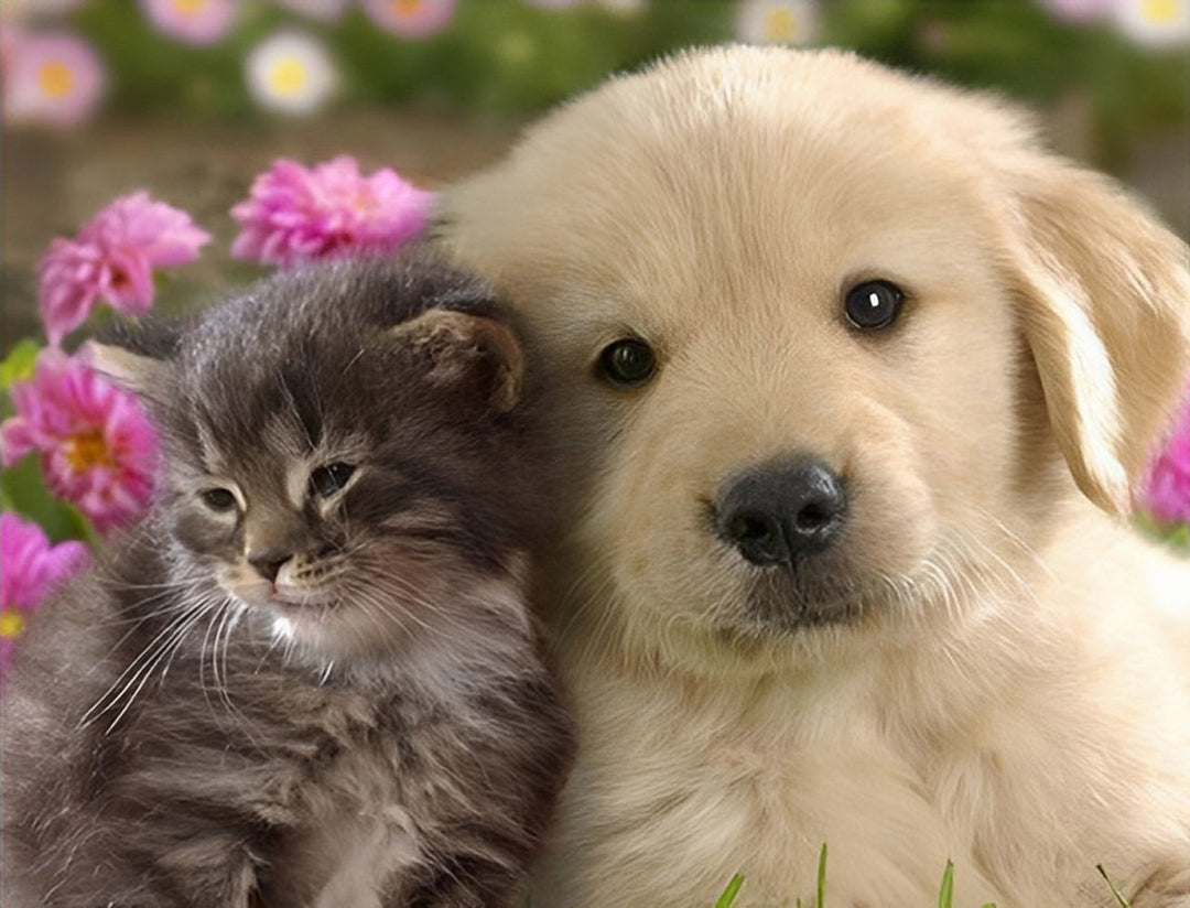 Kleine Golden Retriever Leunend op een Kitten Diamond Painting