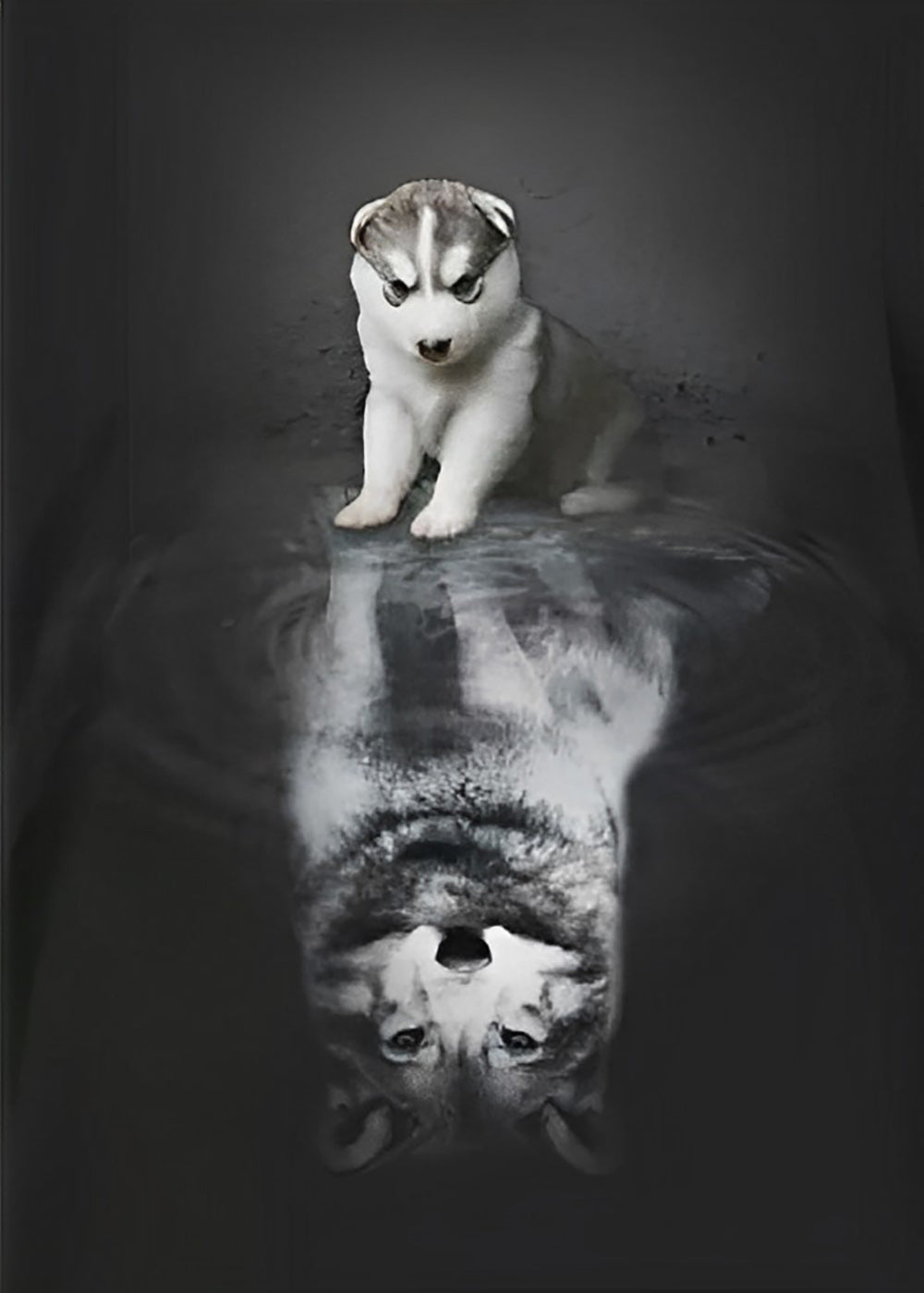 Kleine Husky en Grote Husky Diamond Painting