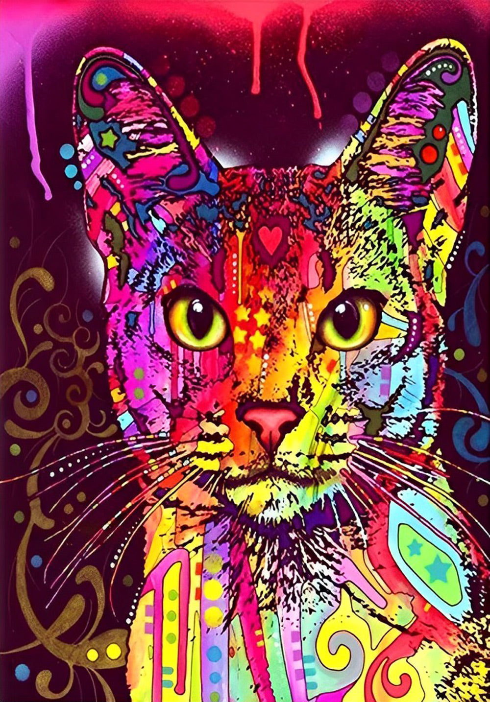 Kleurrijke en Mooie Kat Diamond Painting