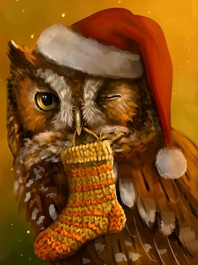 Knipoogende Uil met Kerstsok Diamond Painting