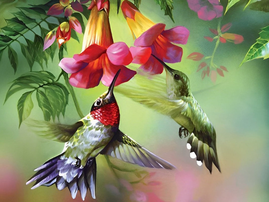 Kolibries in de Zomer Diamond Painting