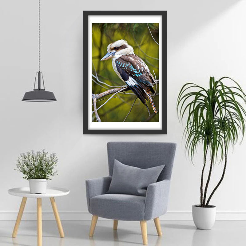 Kookaburra op een Tak Diamond Painting