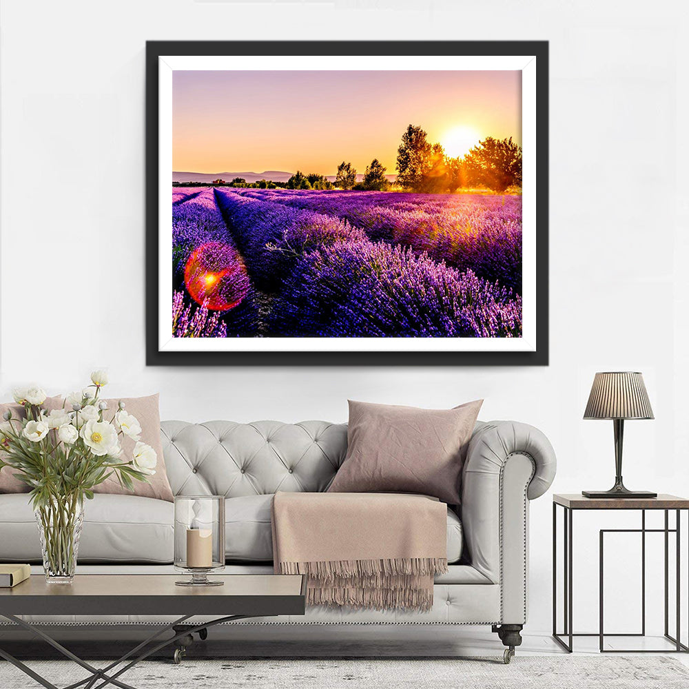 Lavendelvelden bij Zonsondergang Diamond Painting