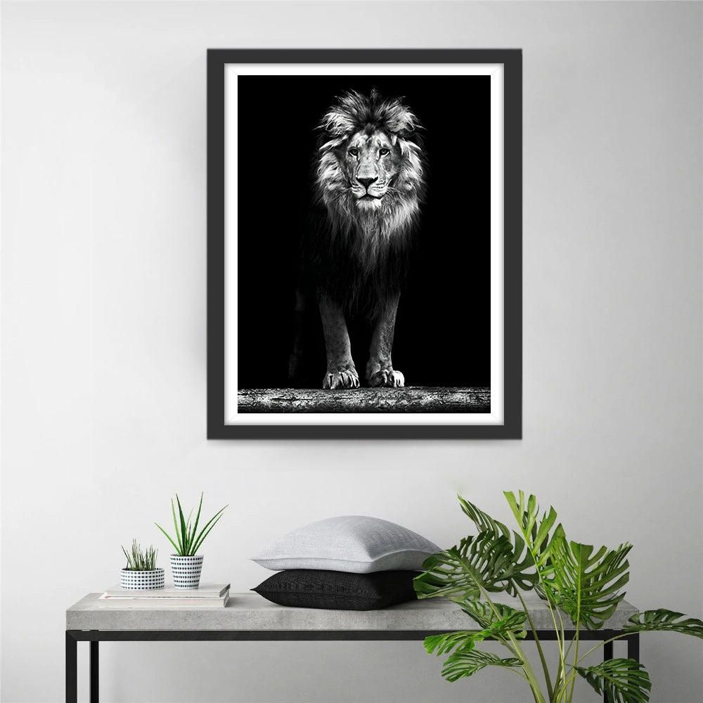 Leeuw tegen een Zwarte Achtergrond Diamond Painting
