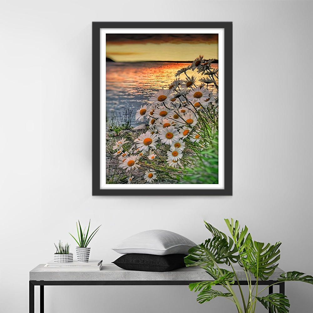 Madeliefjes bij het Water Diamond Painting