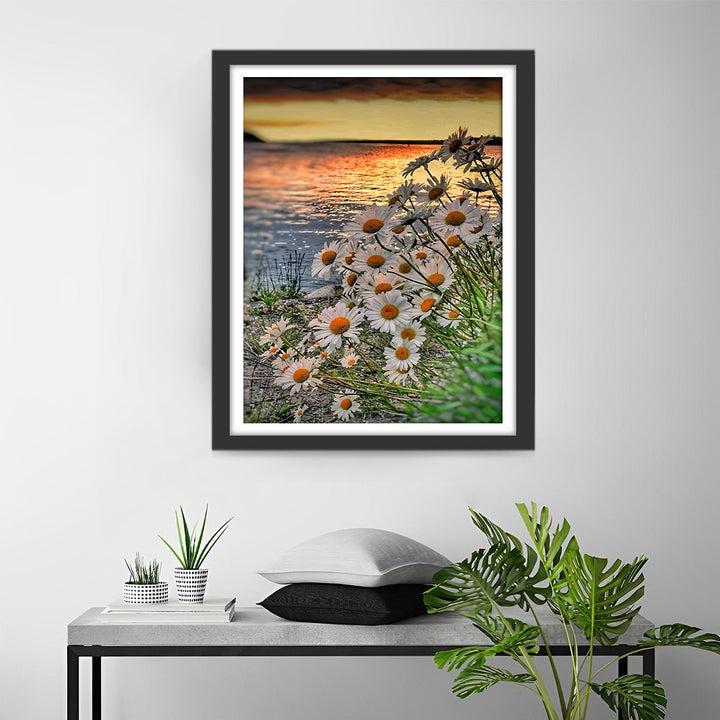 Madeliefjes bij het Water Diamond Painting