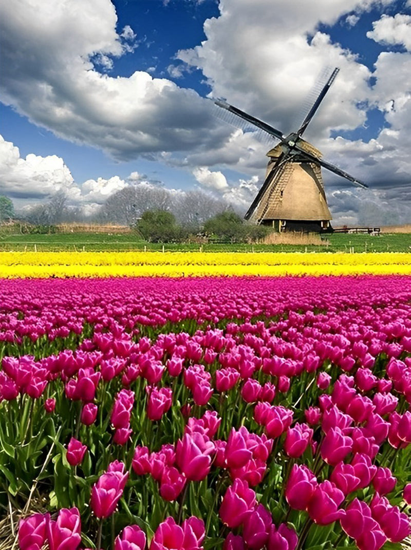 Molentje bij Tulpenveld Diamond Painting