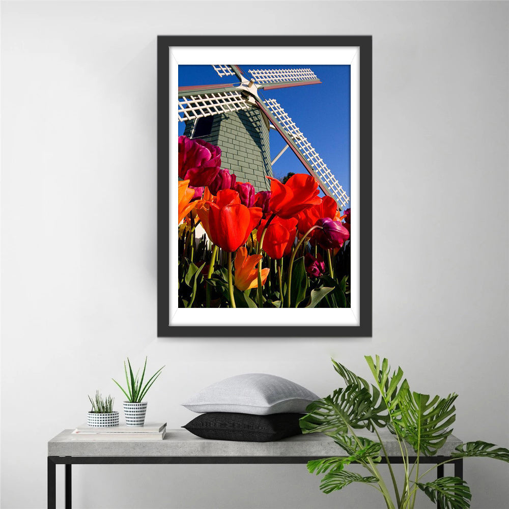 Molentje en Tulpenveld onder Heldere Hemel Diamond Painting