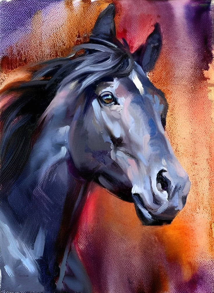 Mooi Zwart Paard Diamond Painting