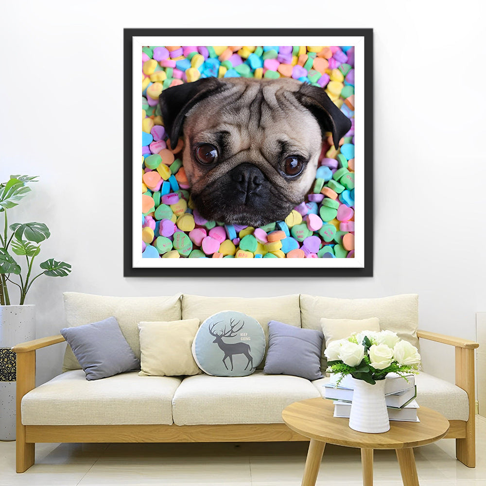 Mopshond in een Berg Suiker Diamond Painting