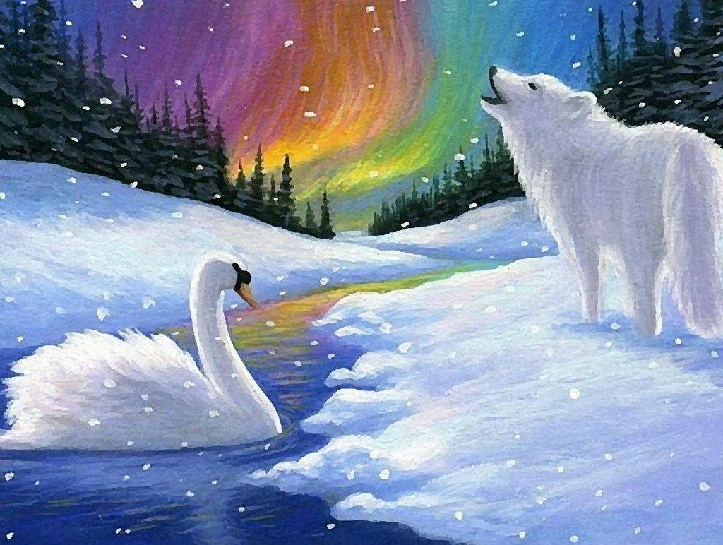 Noorderlichtwonder in de Winterse Wildernis Diamond Painting