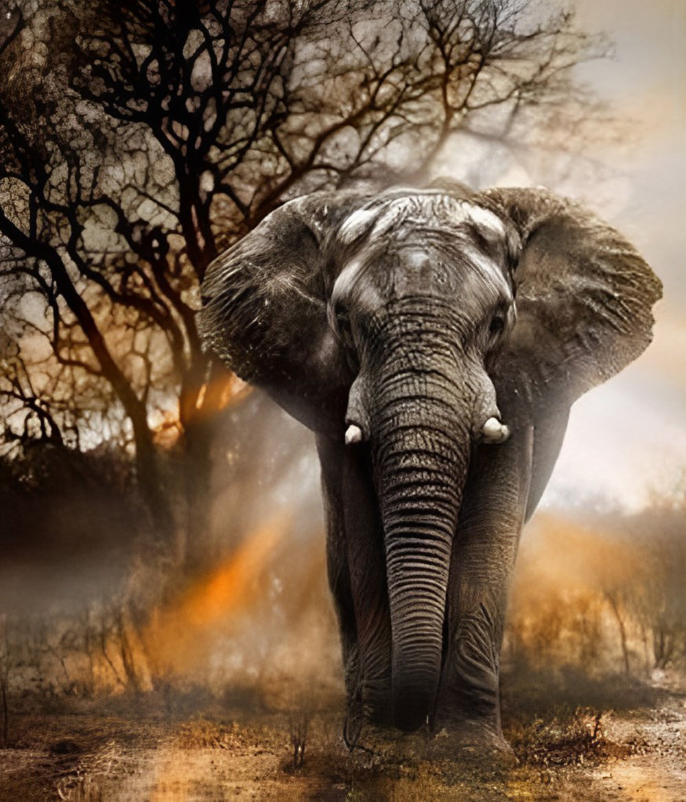 Olifant bij de Dode Bomen Diamond Painting