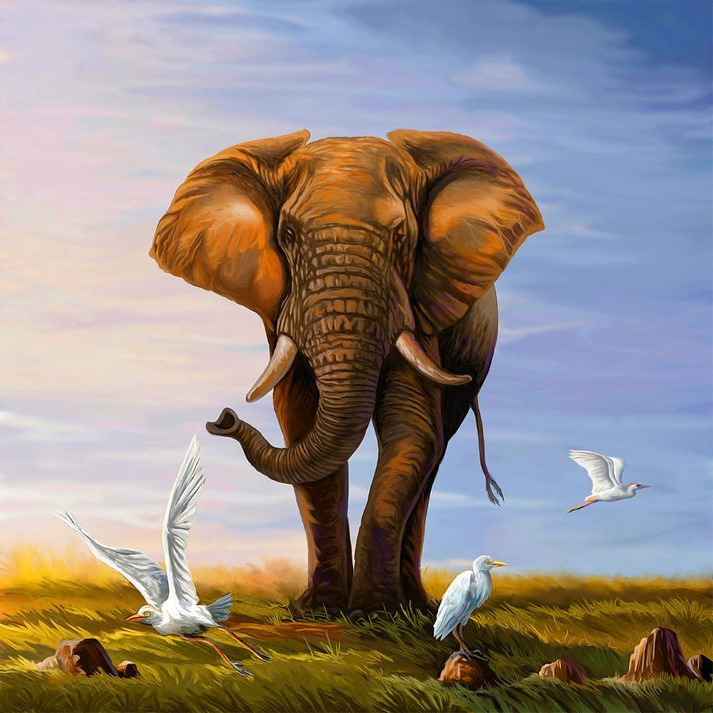 Olifant en Vogels op de Weide Diamond Painting