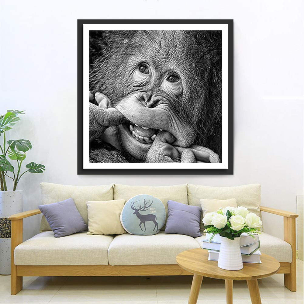 Ondeugende Aap Diamond Painting