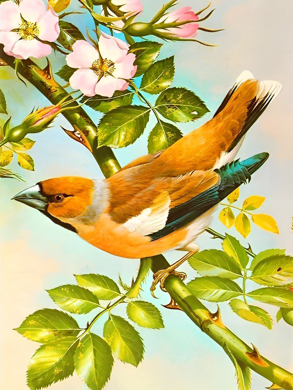 Oosterse Groenling Diamond Painting