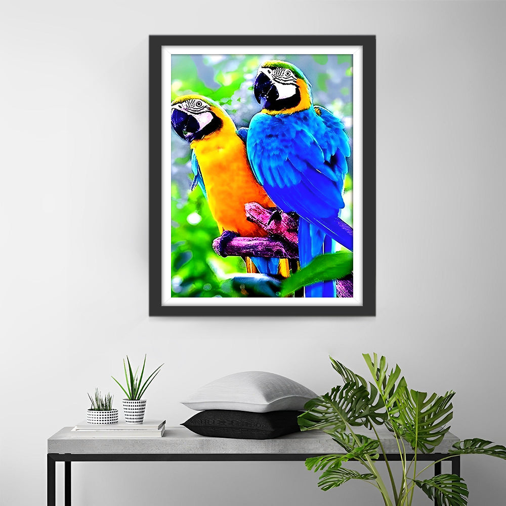Oranje en Blauwe Papegaaien Diamond Painting