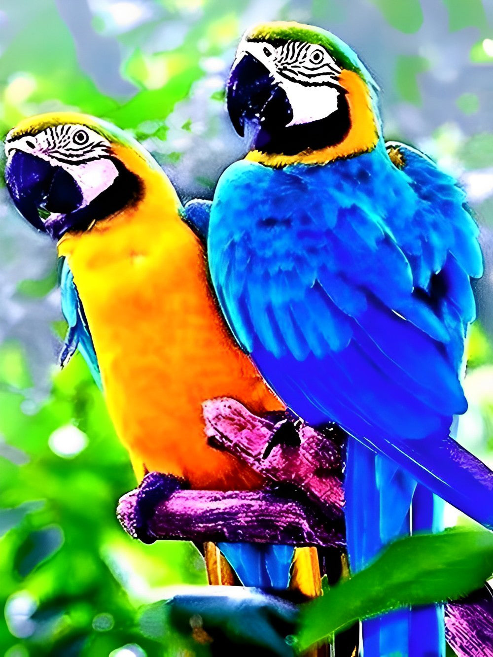 Oranje en Blauwe Papegaaien Diamond Painting