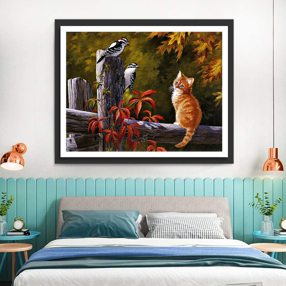 Oranje Kat en Twee Vogels op een Hek Diamond Painting