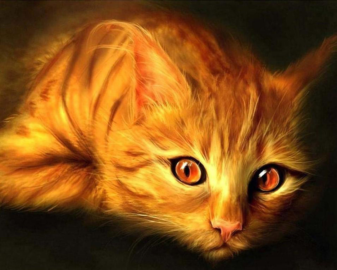 Oranje Kat met Rode Ogen Diamond Painting