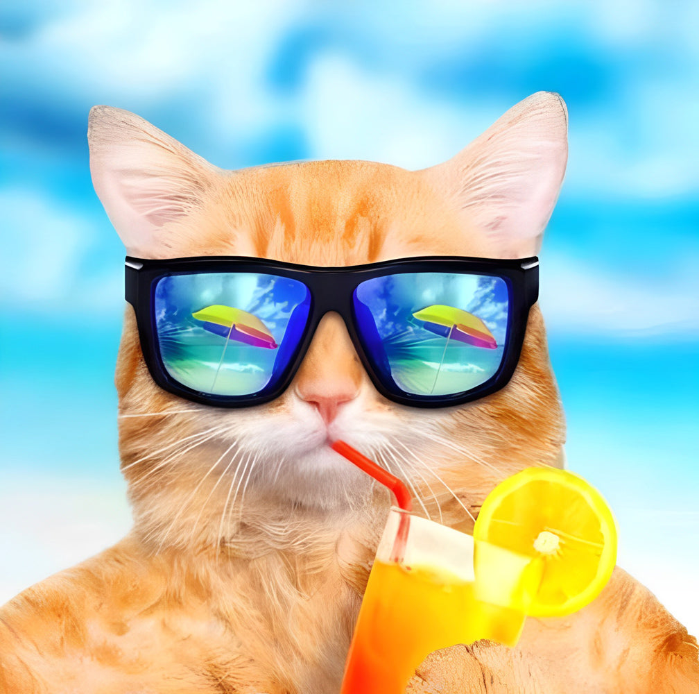 Oranje Kat met Zonnebril die Sinaasappelsap Drinkt Diamond Painting