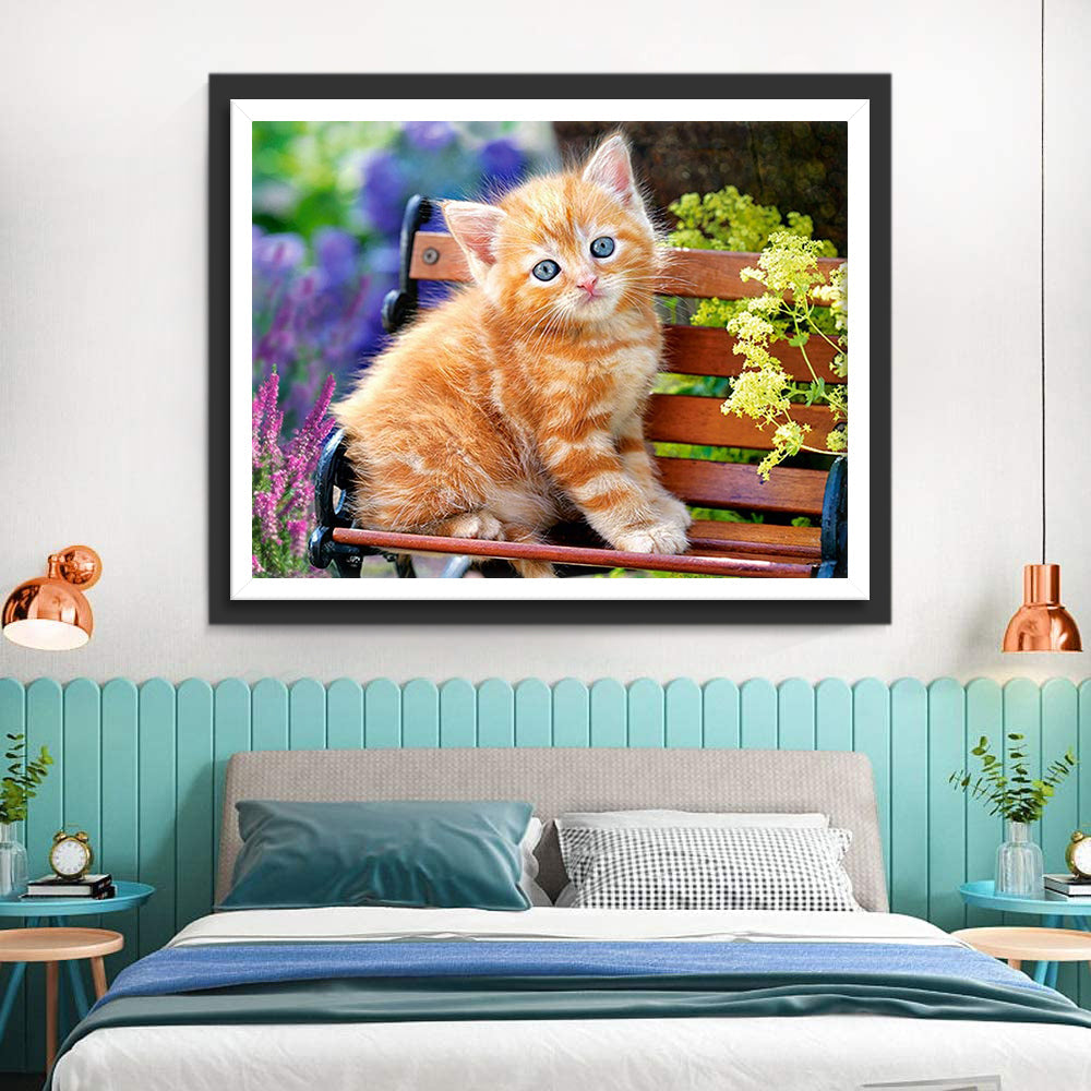Oranje Kitten op een Bankje Diamond Painting