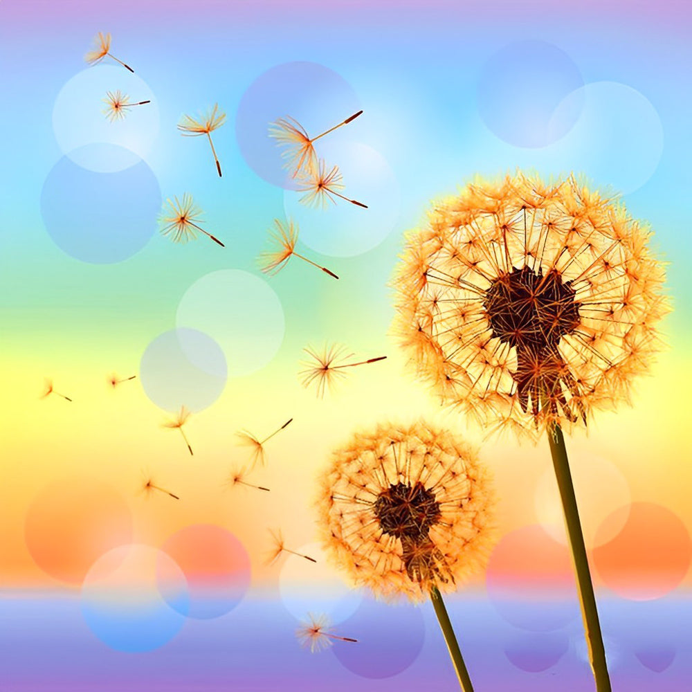 Oranje Paardenbloemen voor een Gekleurde Achtergrond Diamond Painting