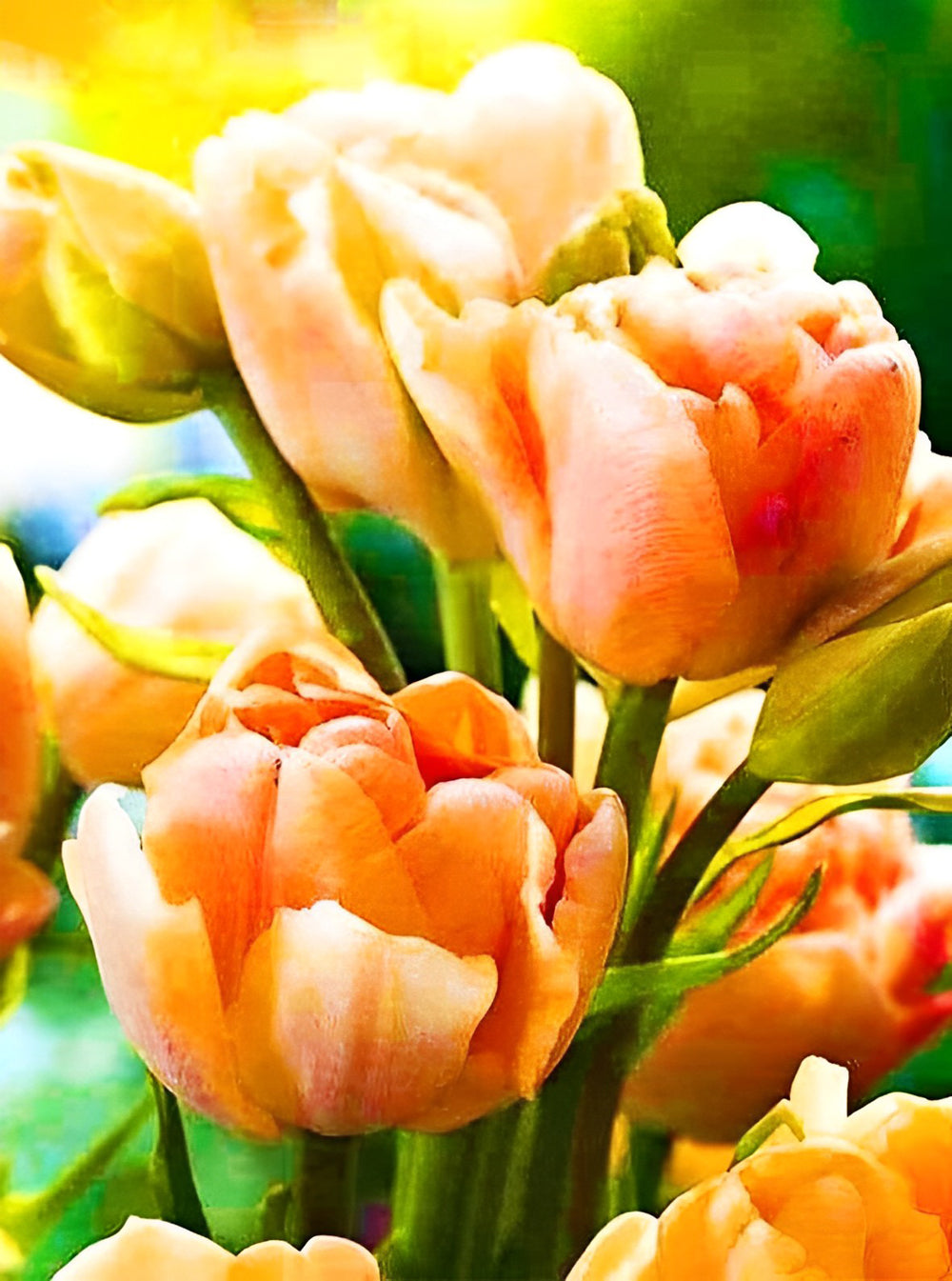 Oranje Tulpen Diamond Painting