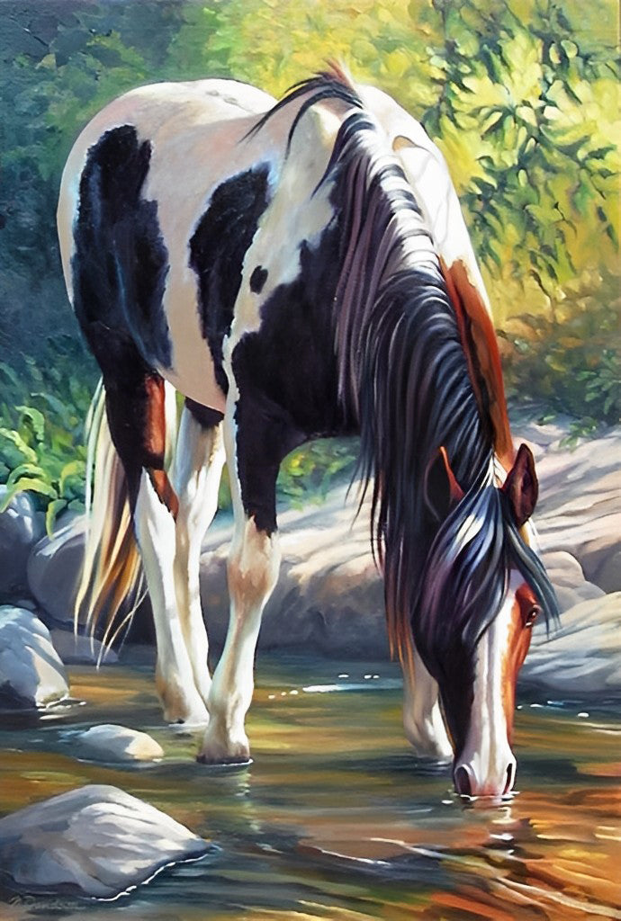 Paard Drinkt uit een Beek Diamond Painting
