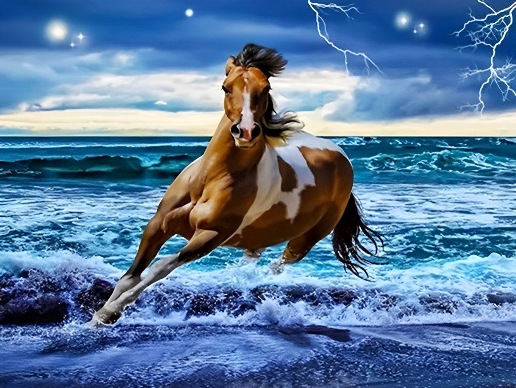 Paard Rent in de Zee Diamond Painting