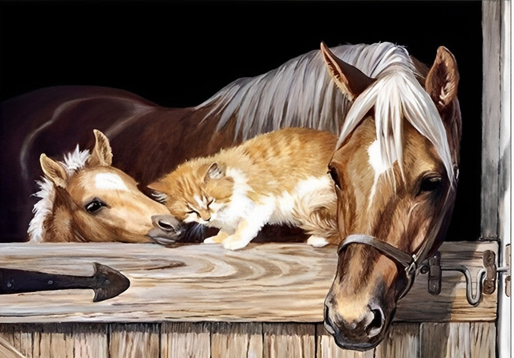 Paarden en Kat in de Stal Diamond Painting